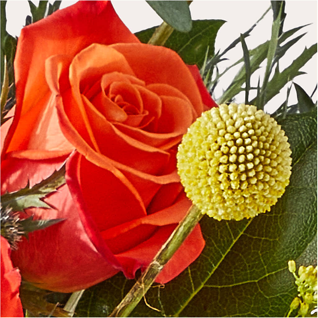 Disco Bouquet –  Farmington Center Florist Inc, Farmington MI