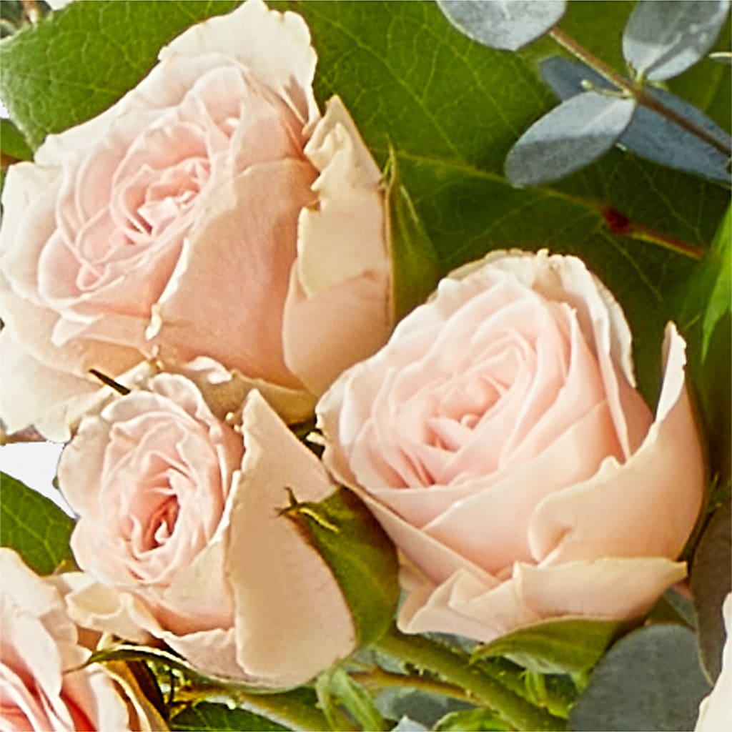 Inspired Bouquet –  Farmington Center Florist Inc, Farmington MI