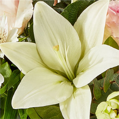 Ballet Slippers Bouquet –  Farmington Center Florist Inc, Farmington MI