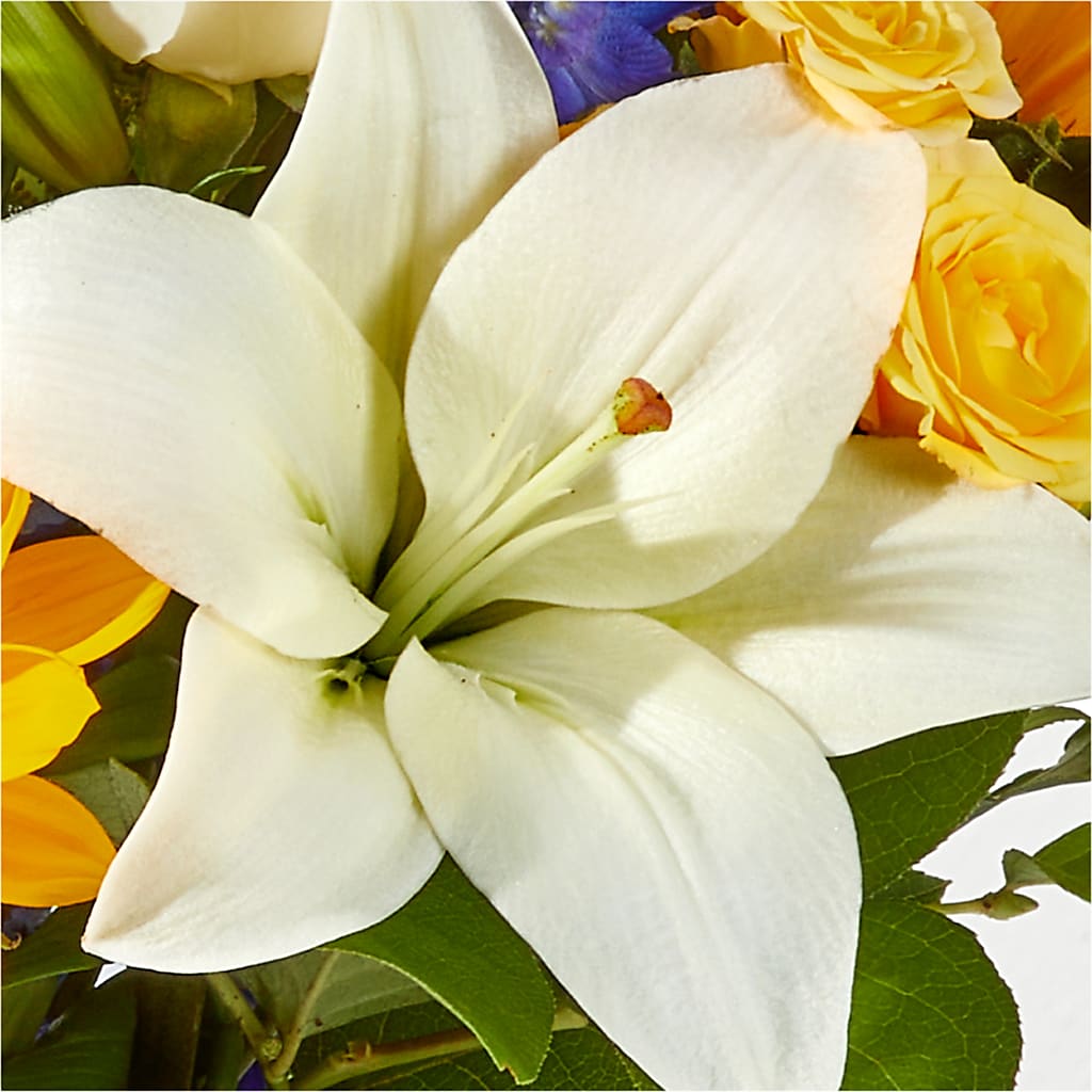 Wonderfully Sunny Bouquet –  Farmington Center Florist Inc, Farmington MI