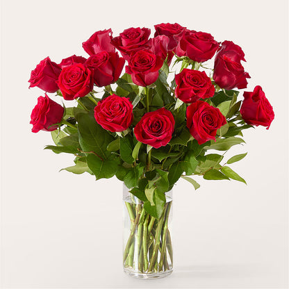 The One Red Rose Bouquet –  Farmington Center Florist Inc, Farmington MI