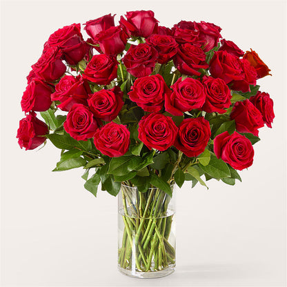 The One Red Rose Bouquet –  Farmington Center Florist Inc, Farmington MI