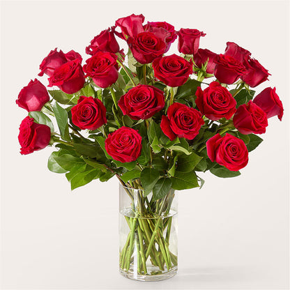 The One Red Rose Bouquet –  Farmington Center Florist Inc, Farmington MI
