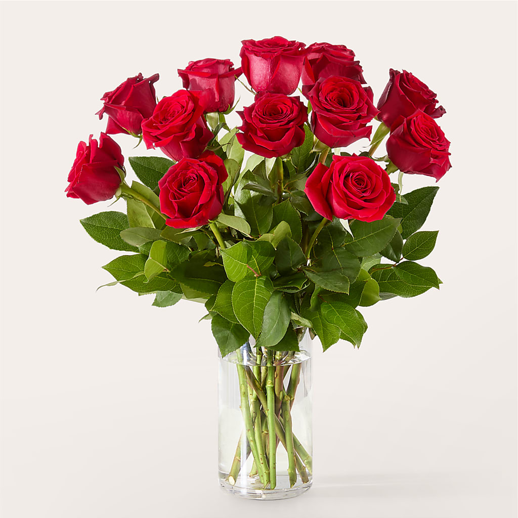 The One Red Rose Bouquet –  Farmington Center Florist Inc, Farmington MI