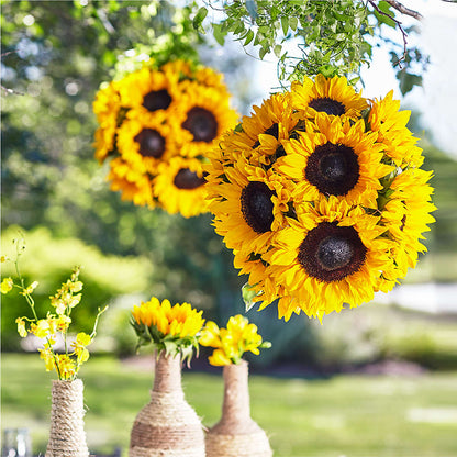 Sublime Garden Hanging Arrangement –  Farmington Center Florist Inc, Farmington MI