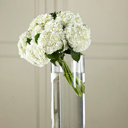 White Hydrangea Hand-Tied Bouquet –  Farmington Center Florist Inc, Farmington MI