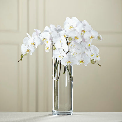 White Phalaenopsis Bouquet –  Farmington Center Florist Inc, Farmington MI
