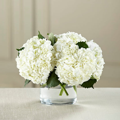 White Hydrangea Bouquet –  Farmington Center Florist Inc, Farmington MI