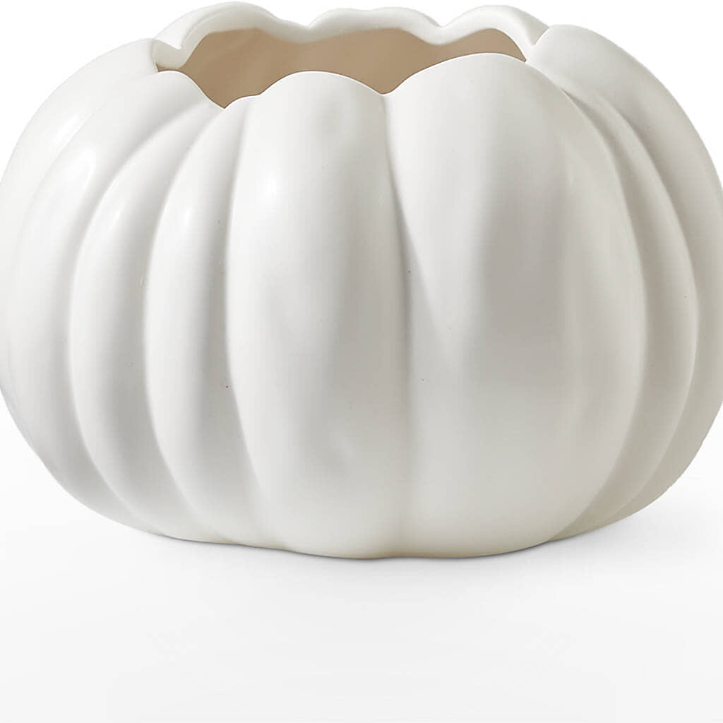 Pumpkin to Talk About Bouquet –  Farmington Center Florist Inc, Farmington MI